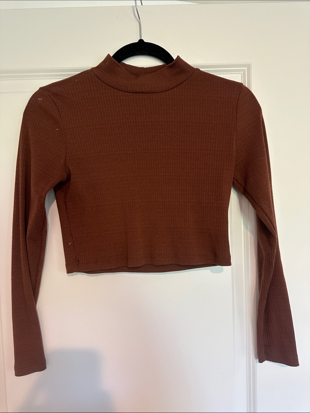 Altar'd State Brown Ribbed Mock Neck Long-Sleeve Crop Top